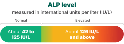 ALP level chart showing normal range as about 42 to 125 IU/L in green and elevated level as about 126 IU/L and above in orange-red